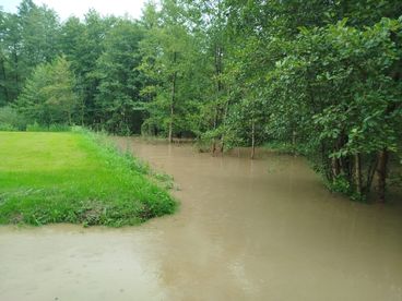 Ponad 40 interwencji związanej z przejściem burzy nad Wieluniem